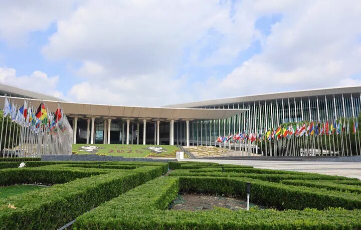 1761894179849730.jpg 640.jpg