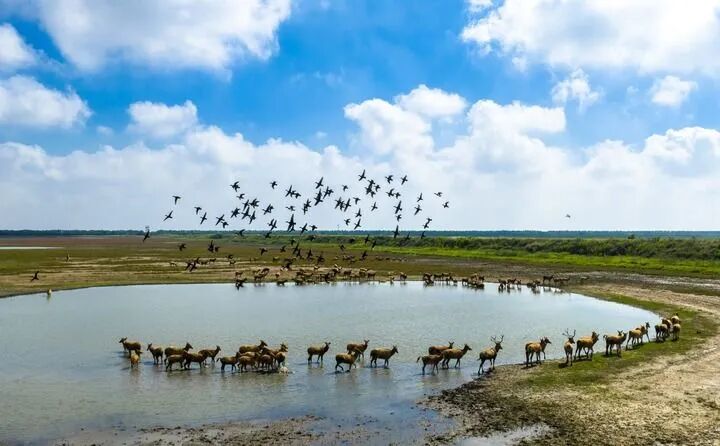 1761894293119886.jpg 640.jpg